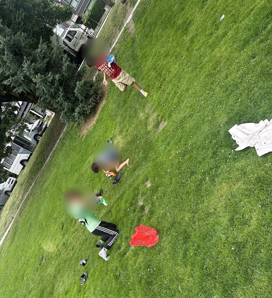 Children playing together outdoors on the grass. Faces are blurred.
